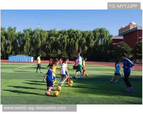 足球教练级别解析与晋升路径探讨助你成为顶尖教练